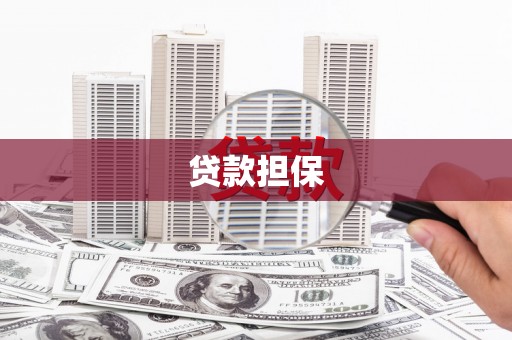 灵宝贷款担保