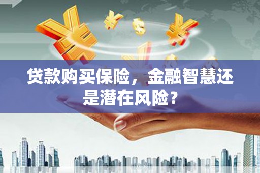 灵宝贷款购买保险，金融智慧还是潜在风险？