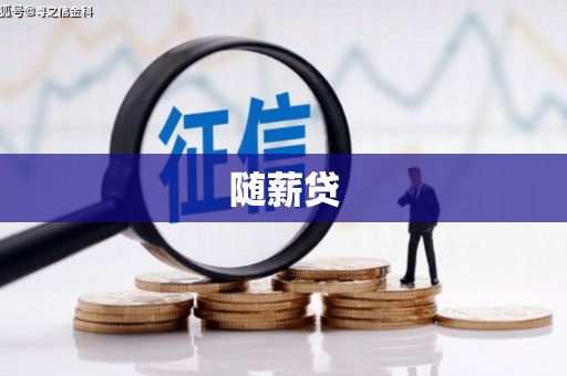 灵宝随薪贷