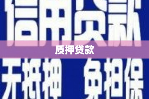 灵宝质押贷款