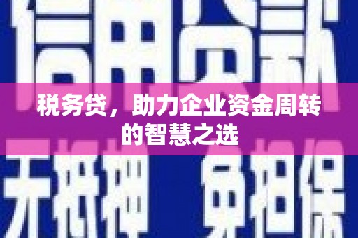 灵宝税务贷，助力企业资金周转的智慧之选