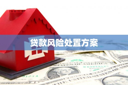 灵宝贷款风险处置方案