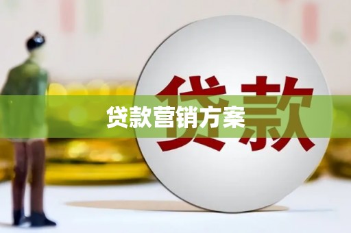 灵宝贷款营销方案