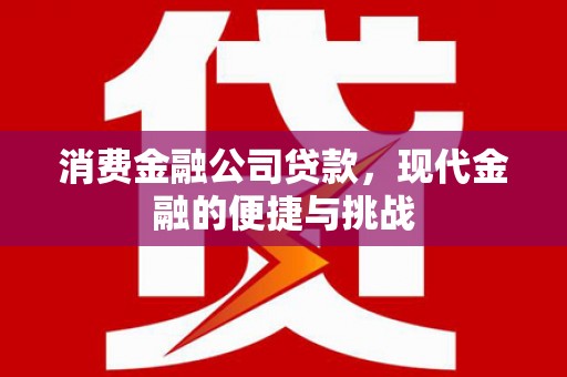 灵宝消费金融公司贷款，现代金融的便捷与挑战
