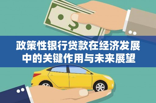 灵宝政策性银行贷款在经济发展中的关键作用与未来展望