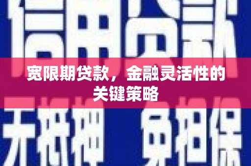 灵宝宽限期贷款，金融灵活性的关键策略