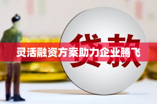 灵宝灵活融资方案助力企业腾飞