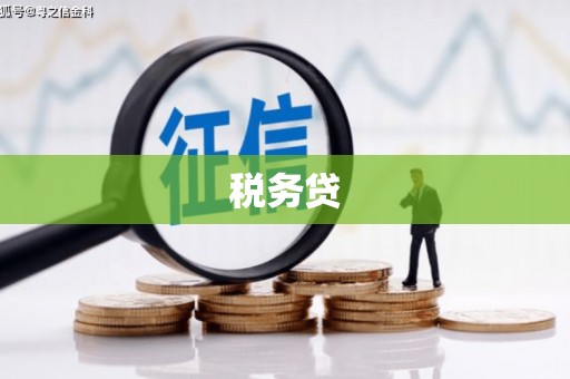 灵宝税务贷