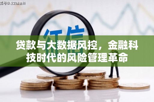 灵宝贷款与大数据风控，金融科技时代的风险管理革命