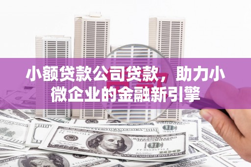 灵宝小额贷款公司贷款，助力小微企业的金融新引擎