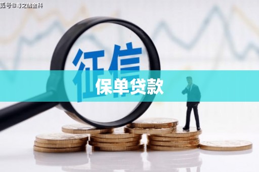 灵宝保单贷款