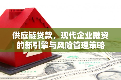 灵宝供应链贷款，现代企业融资的新引擎与风险管理策略