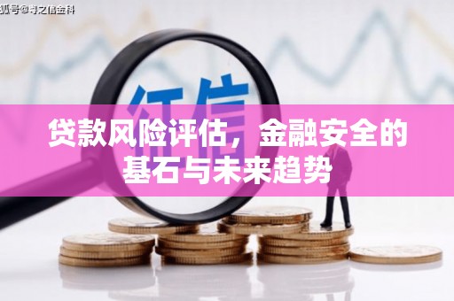 灵宝贷款风险评估，金融安全的基石与未来趋势
