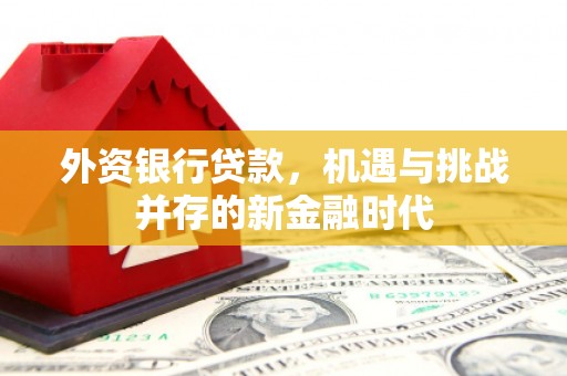 灵宝外资银行贷款，机遇与挑战并存的新金融时代