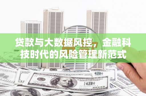 灵宝贷款与大数据风控，金融科技时代的风险管理新范式