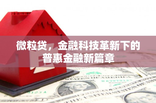灵宝微粒贷，金融科技革新下的普惠金融新篇章