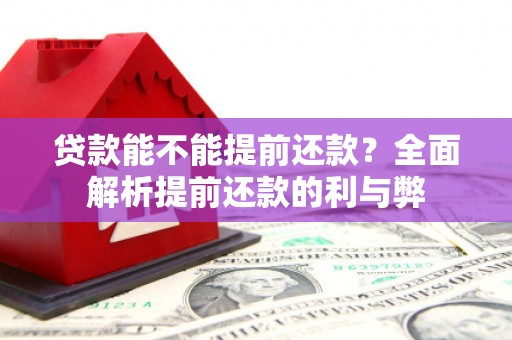 灵宝贷款能不能提前还款？全面解析提前还款的利与弊