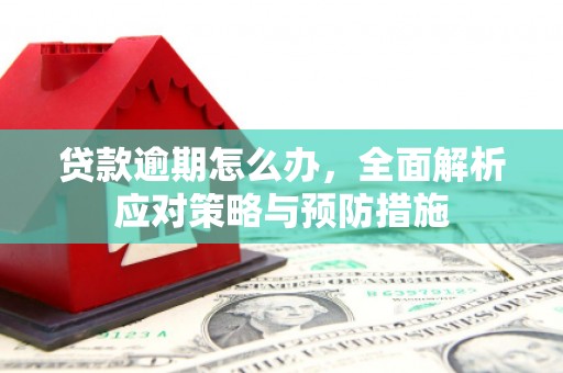 灵宝贷款逾期怎么办，全面解析应对策略与预防措施