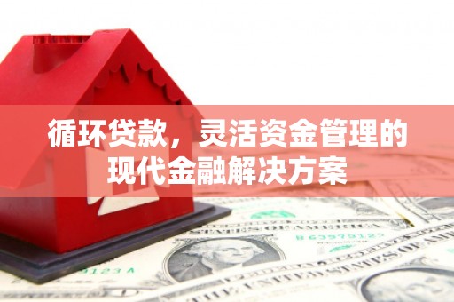 灵宝循环贷款，灵活资金管理的现代金融解决方案