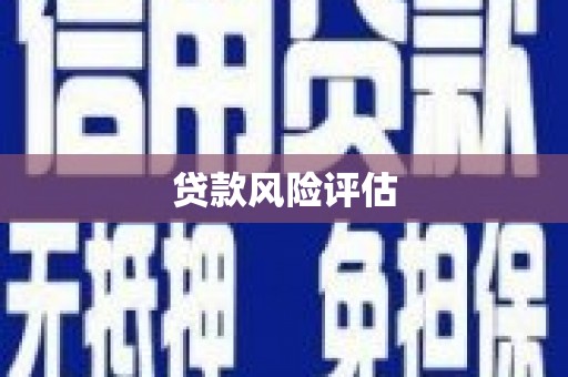灵宝贷款风险评估
