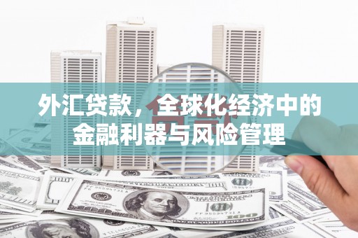 灵宝外汇贷款，全球化经济中的金融利器与风险管理