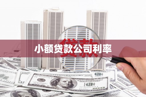 灵宝小额贷款公司利率