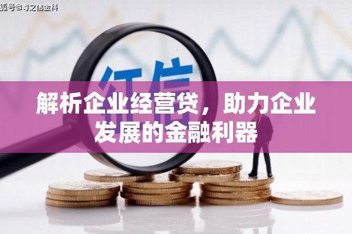 灵宝解析企业经营贷，助力企业发展的金融利器