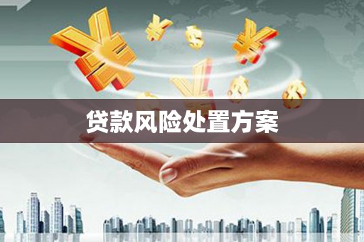 灵宝贷款风险处置方案