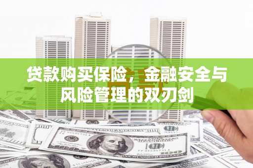 灵宝贷款购买保险，金融安全与风险管理的双刃剑