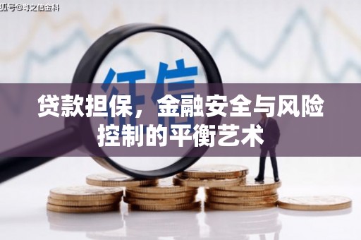 灵宝贷款担保，金融安全与风险控制的平衡艺术