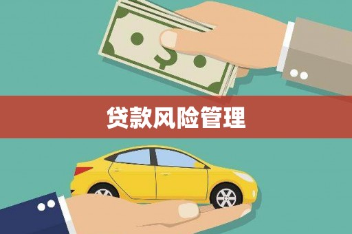 灵宝贷款风险管理