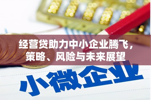 灵宝经营贷助力中小企业腾飞，策略、风险与未来展望