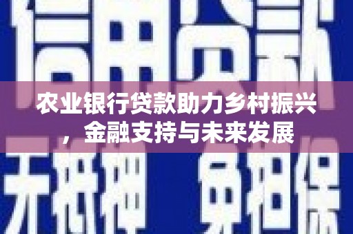 灵宝农业银行贷款助力乡村振兴，金融支持与未来发展