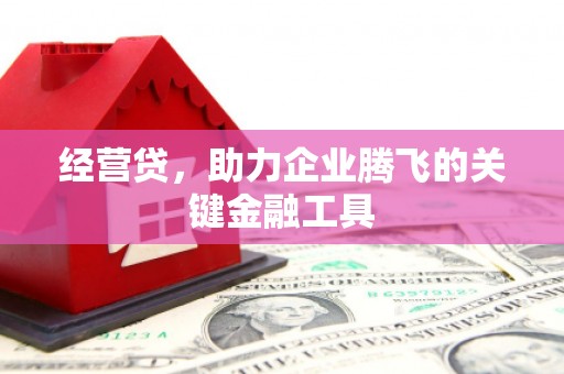 灵宝经营贷，助力企业腾飞的关键金融工具