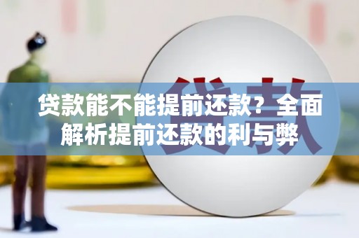 灵宝贷款能不能提前还款？全面解析提前还款的利与弊