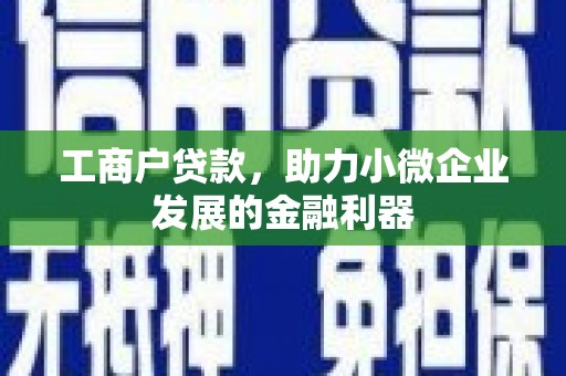 灵宝工商户贷款，助力小微企业发展的金融利器