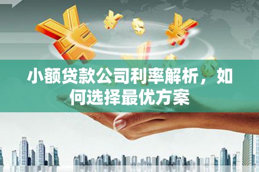 灵宝小额贷款公司利率解析，如何选择最优方案