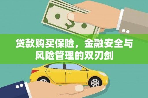 灵宝贷款购买保险，金融安全与风险管理的双刃剑