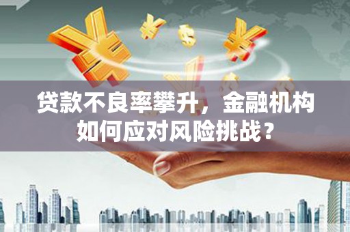 灵宝贷款不良率攀升，金融机构如何应对风险挑战？