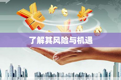 灵宝了解其风险与机遇