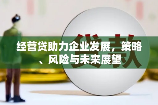 灵宝经营贷助力企业发展，策略、风险与未来展望