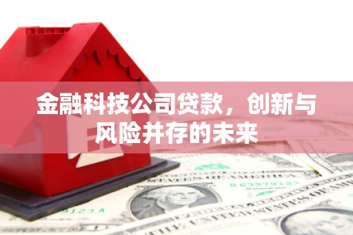 灵宝金融科技公司贷款，创新与风险并存的未来