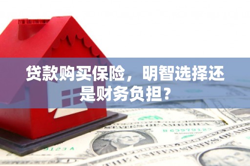 灵宝贷款购买保险，明智选择还是财务负担？
