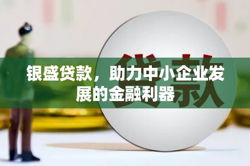 灵宝银盛贷款，助力中小企业发展的金融利器