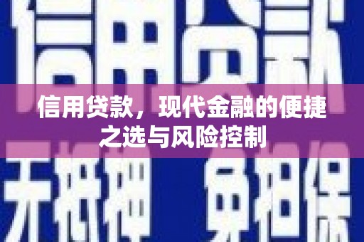 灵宝信用贷款，现代金融的便捷之选与风险控制