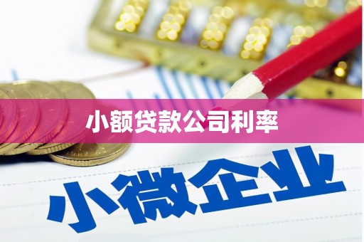 灵宝小额贷款公司利率