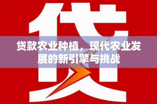 灵宝贷款农业种植，现代农业发展的新引擎与挑战
