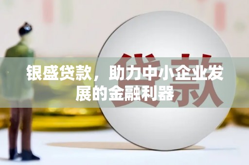 灵宝银盛贷款，助力中小企业发展的金融利器
