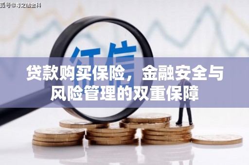 灵宝贷款购买保险，金融安全与风险管理的双重保障