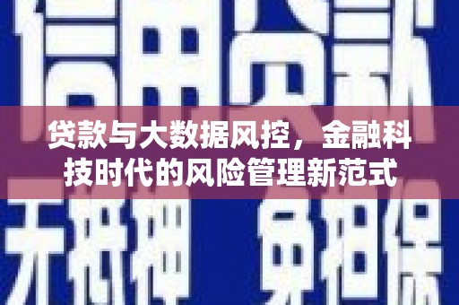 灵宝贷款与大数据风控，金融科技时代的风险管理新范式